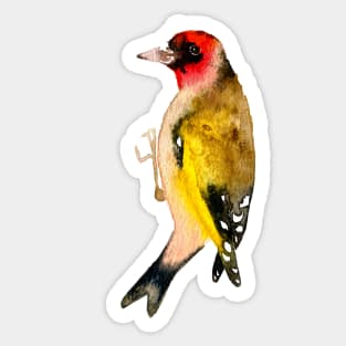 Goldfinch Sticker